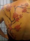 cherry blossom tattoo on left shoulder blade